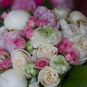 Meet your Posher, Blossom